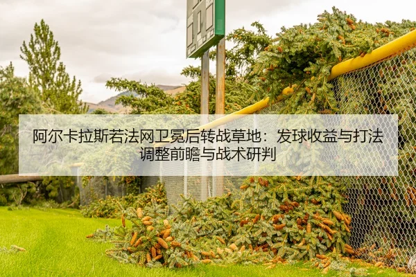 a-er-ka-la-si-ruo-fa-wang-wei-mian-hou-zhuan-zhan-cao-di-fa-qiu-shou-yi-yu-da-fa-tiao-zheng-qian-zhan-yu-zhan-shu-yan-2-722.jpg